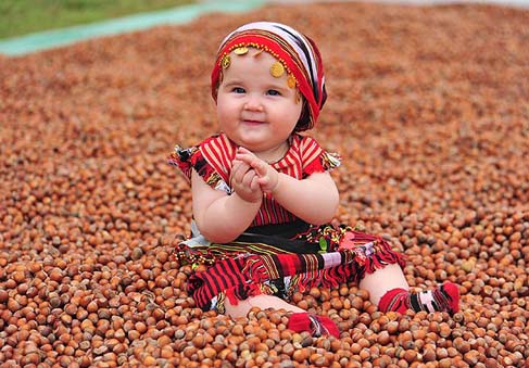 Sağlıklı Yaşam İçin Doğal Besin Kaynağı Fındık